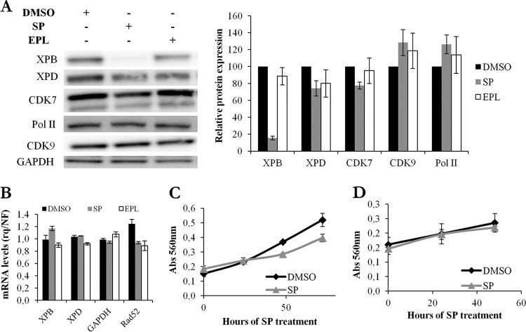 FIG 3