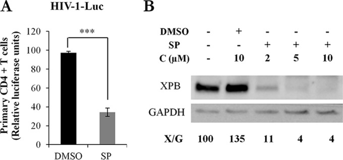 FIG 2