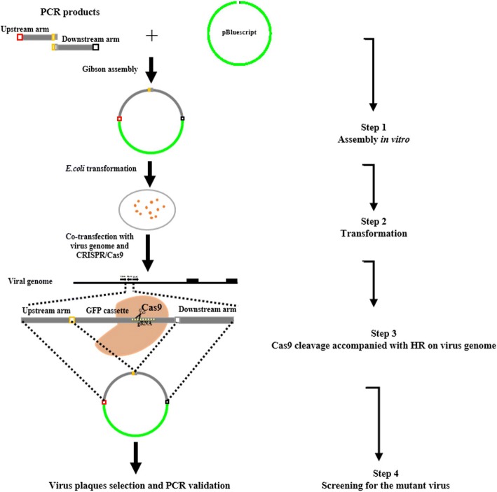 Fig. 2