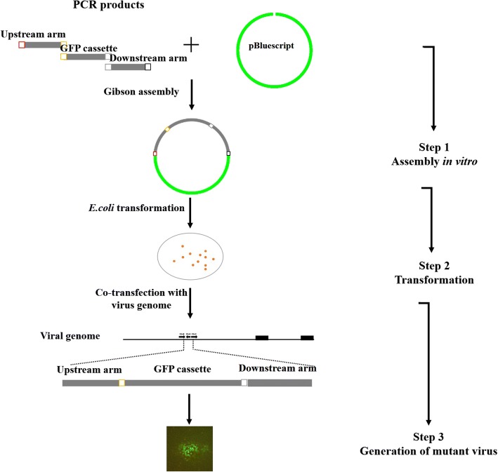 Fig. 1