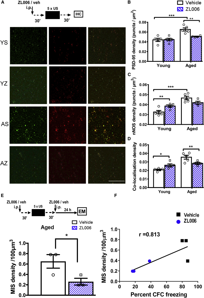 Figure 6