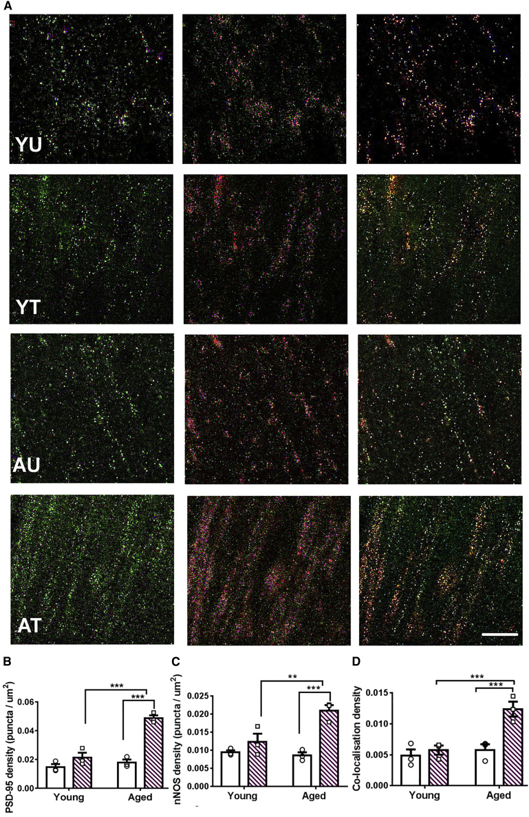 Figure 4