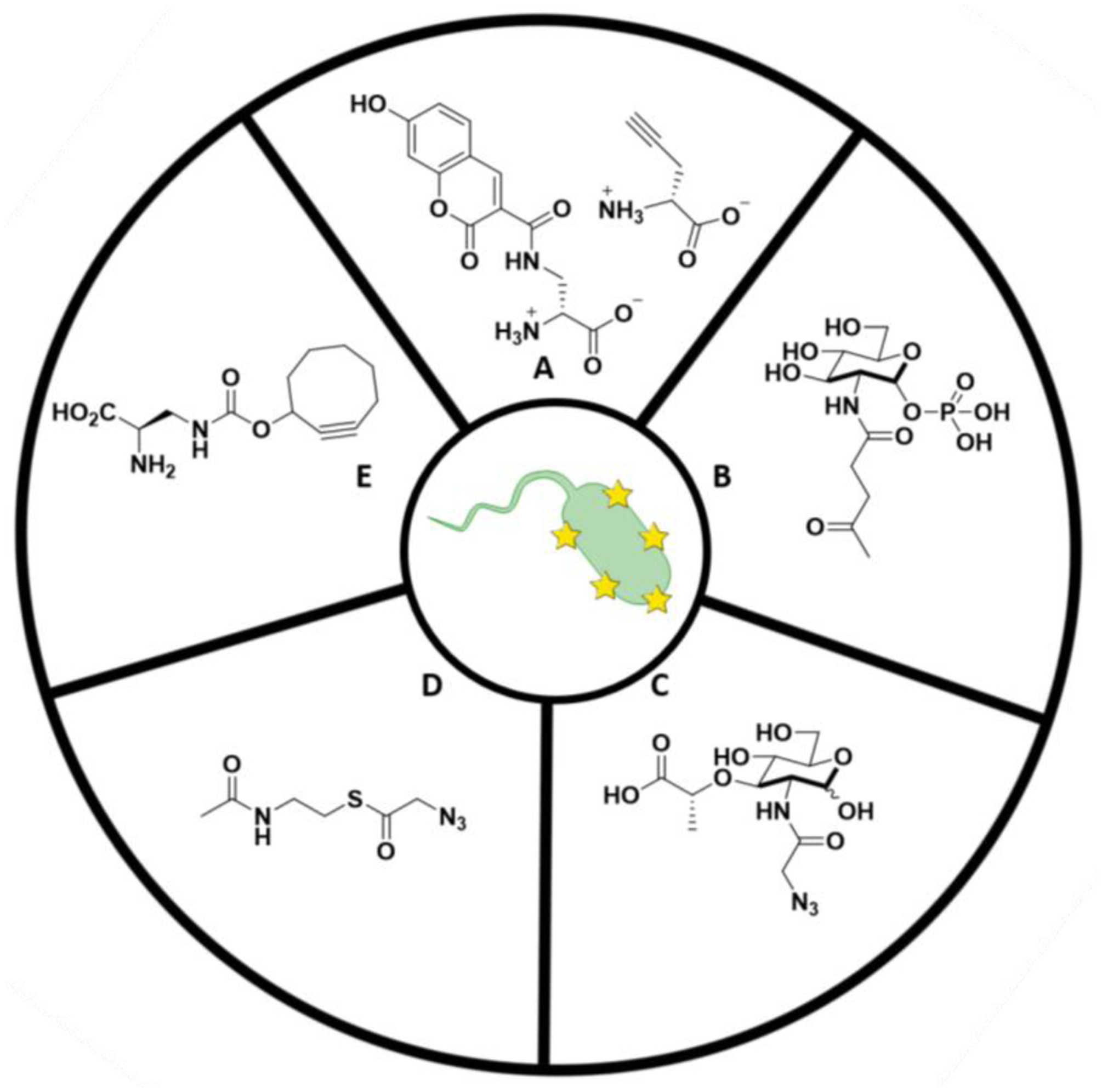 Figure 4: