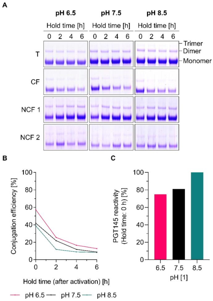 Conjugation Of Native-like Hiv-1 Envelope Trimers Onto Liposomes Using 