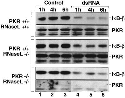 FIG. 8