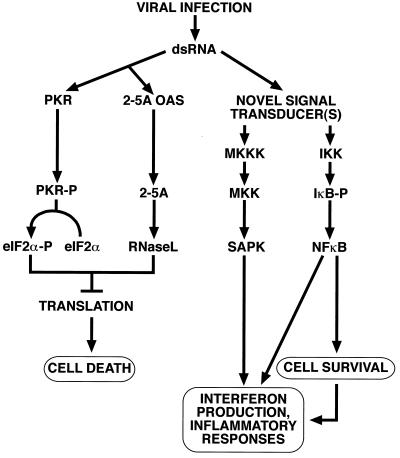 FIG. 10