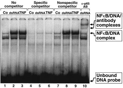 FIG. 5