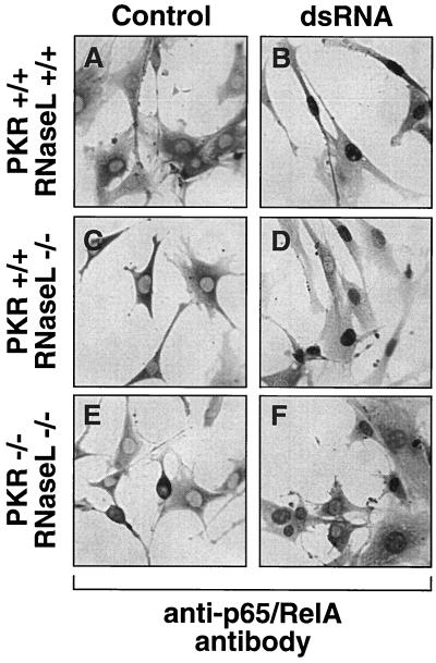 FIG. 9