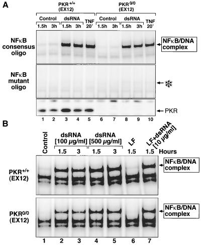 FIG. 6