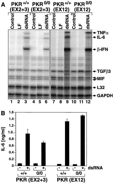 FIG. 7