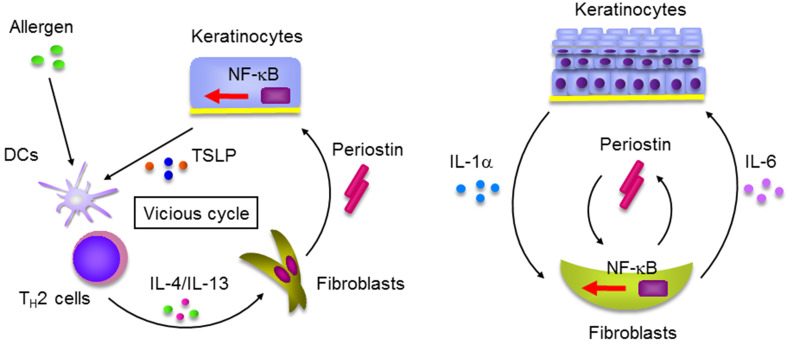 Fig. 2