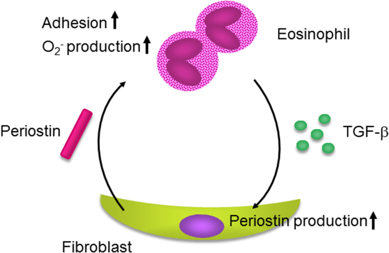 Fig. 3