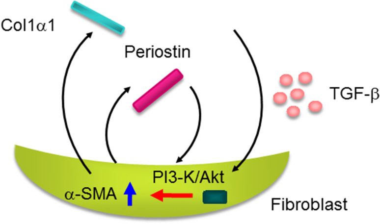 Fig. 6