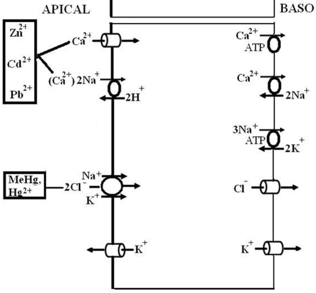 Figure 10