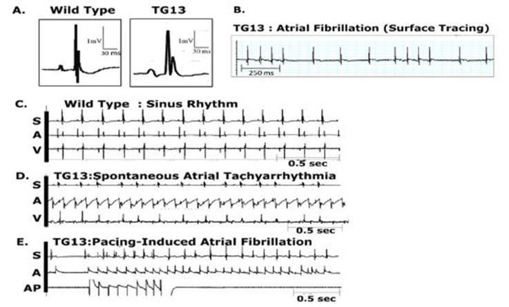 Figure 2: