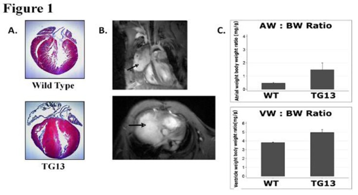 Figure 1.