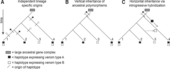 Figure 6.