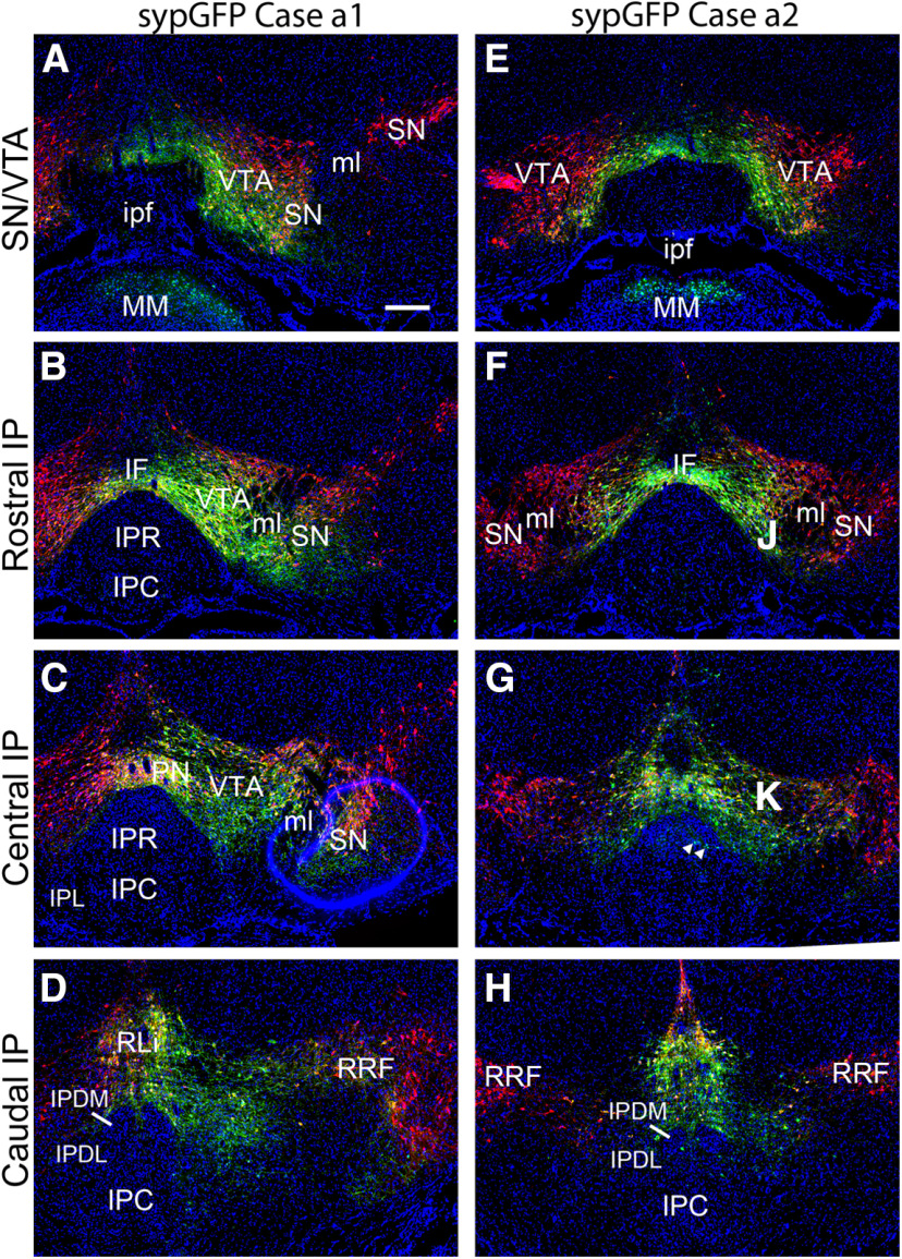 Figure 4.