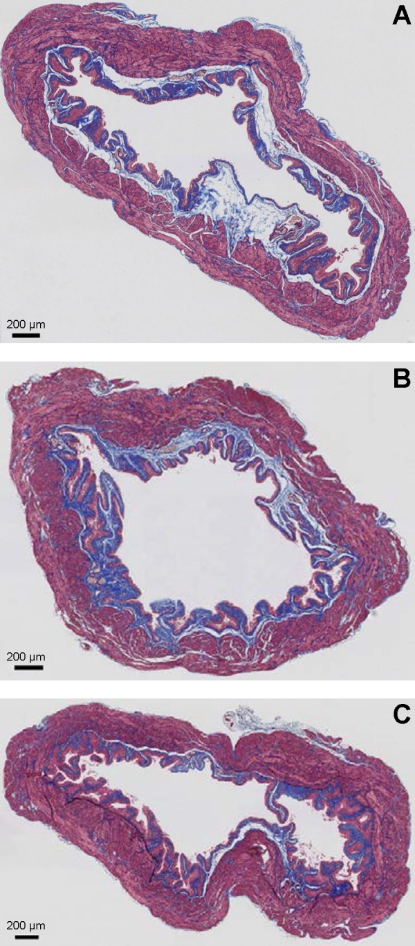 Fig. 8.