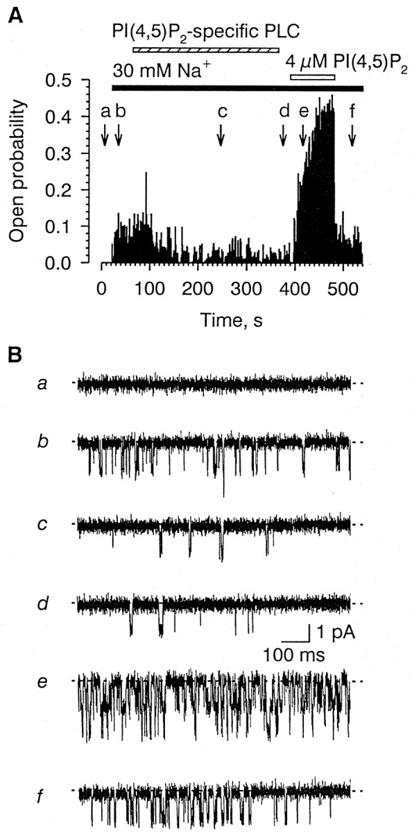 Fig. 8.