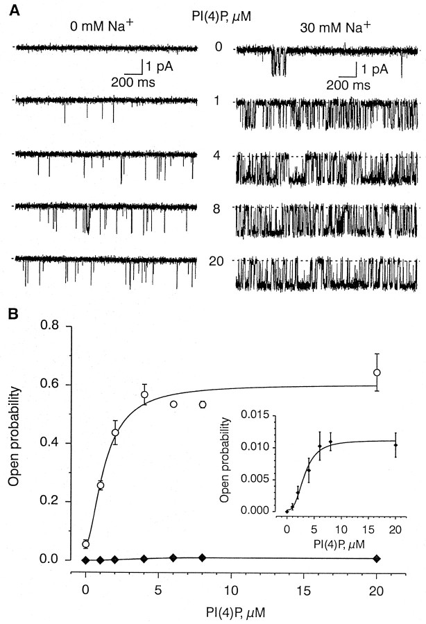 Fig. 5.