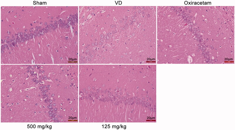 Figure 3.