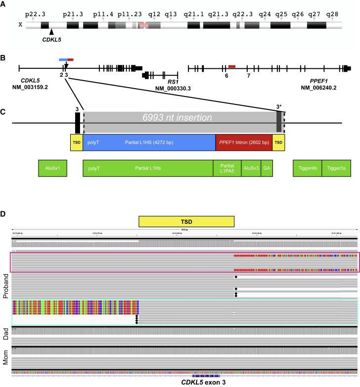 Figure 1