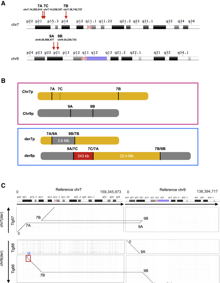 Figure 4