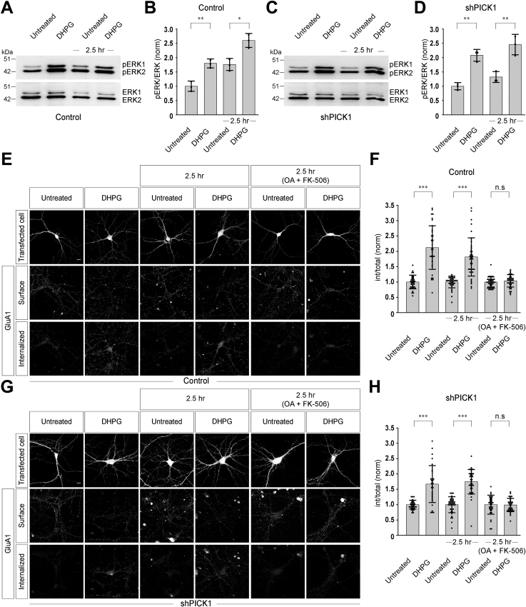 Figure 6