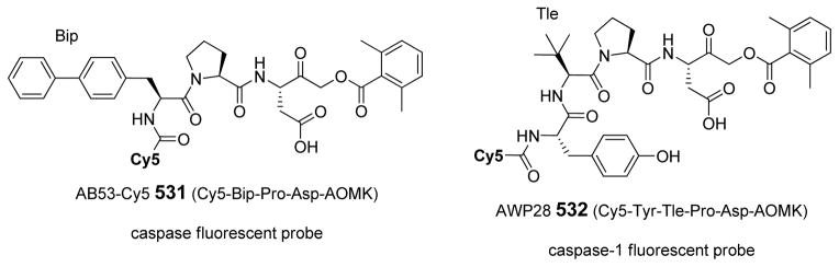 Figure 50