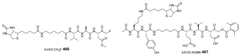 Figure 40