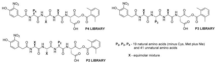 Figure 24