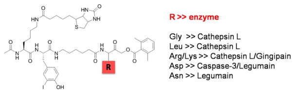 Figure 41