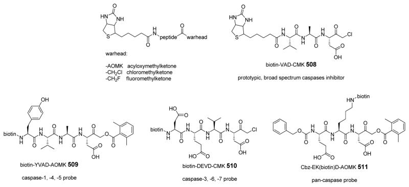 Figure 47