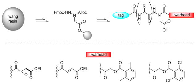 Figure 39