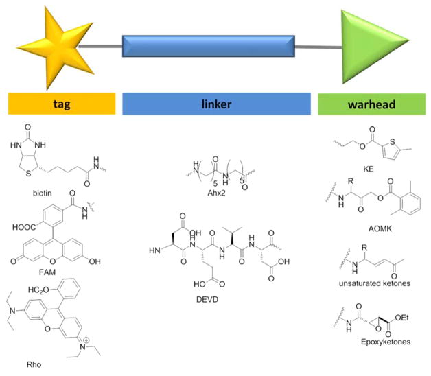 Figure 36