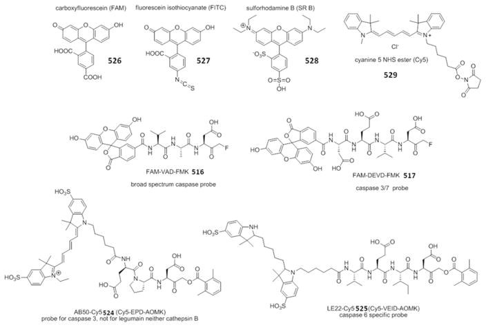 Figure 48