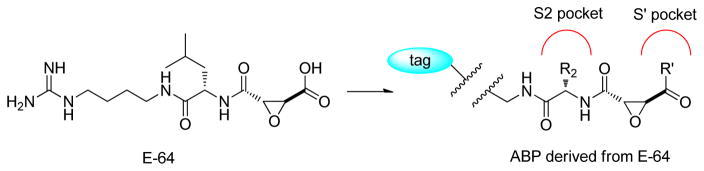 Figure 38