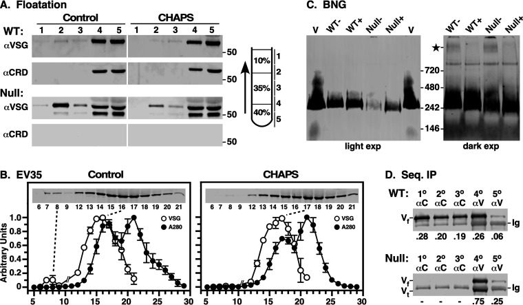 FIG 3