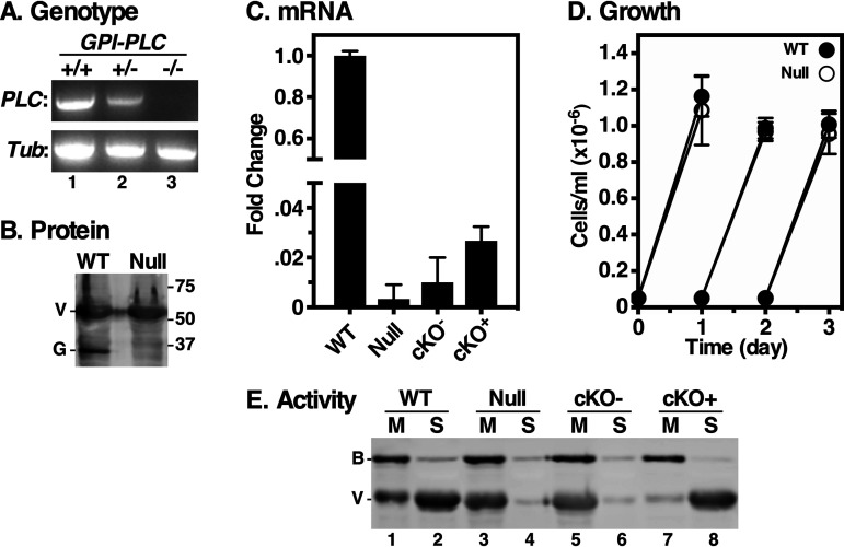 FIG 1