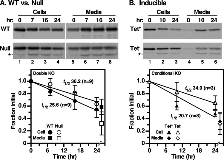 FIG 2