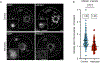 Extended Data Fig. 3: