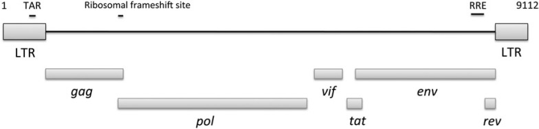 FIG. 1.