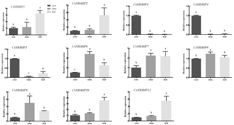 Figure 6