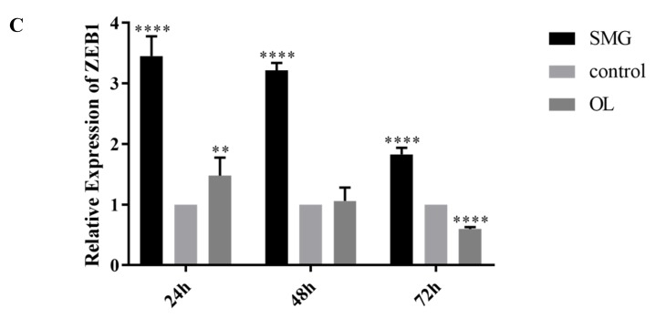 Figure 13