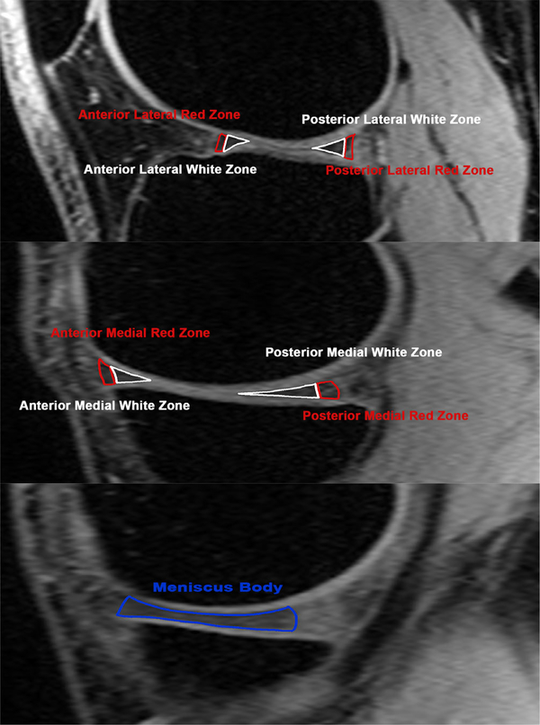 FIGURE 1: