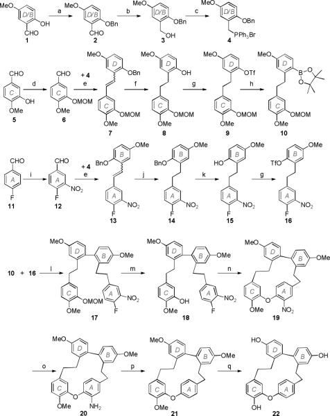 Scheme 2