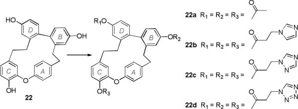 Scheme 3