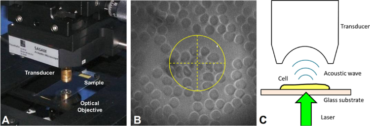 Fig. 1