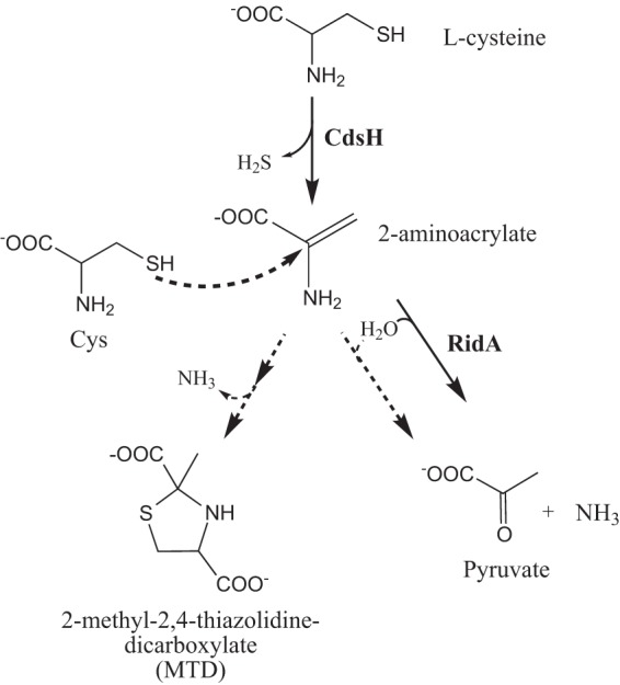 FIG 7